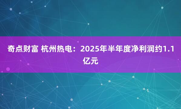 奇点财富 杭州热电：2025年半年度净利润约1.1亿元