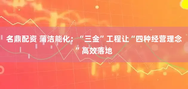 名鼎配资 蒲洁能化：“三金”工程让“四种经营理念”高效落地